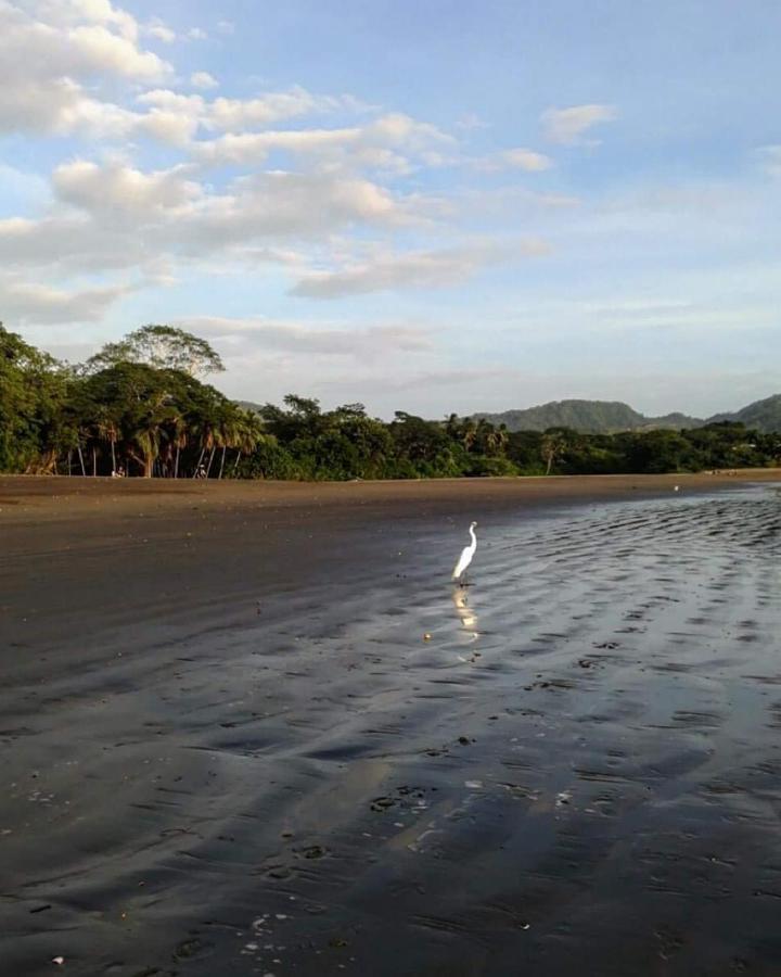 Villas Guanacaste Потреро Экстерьер фото